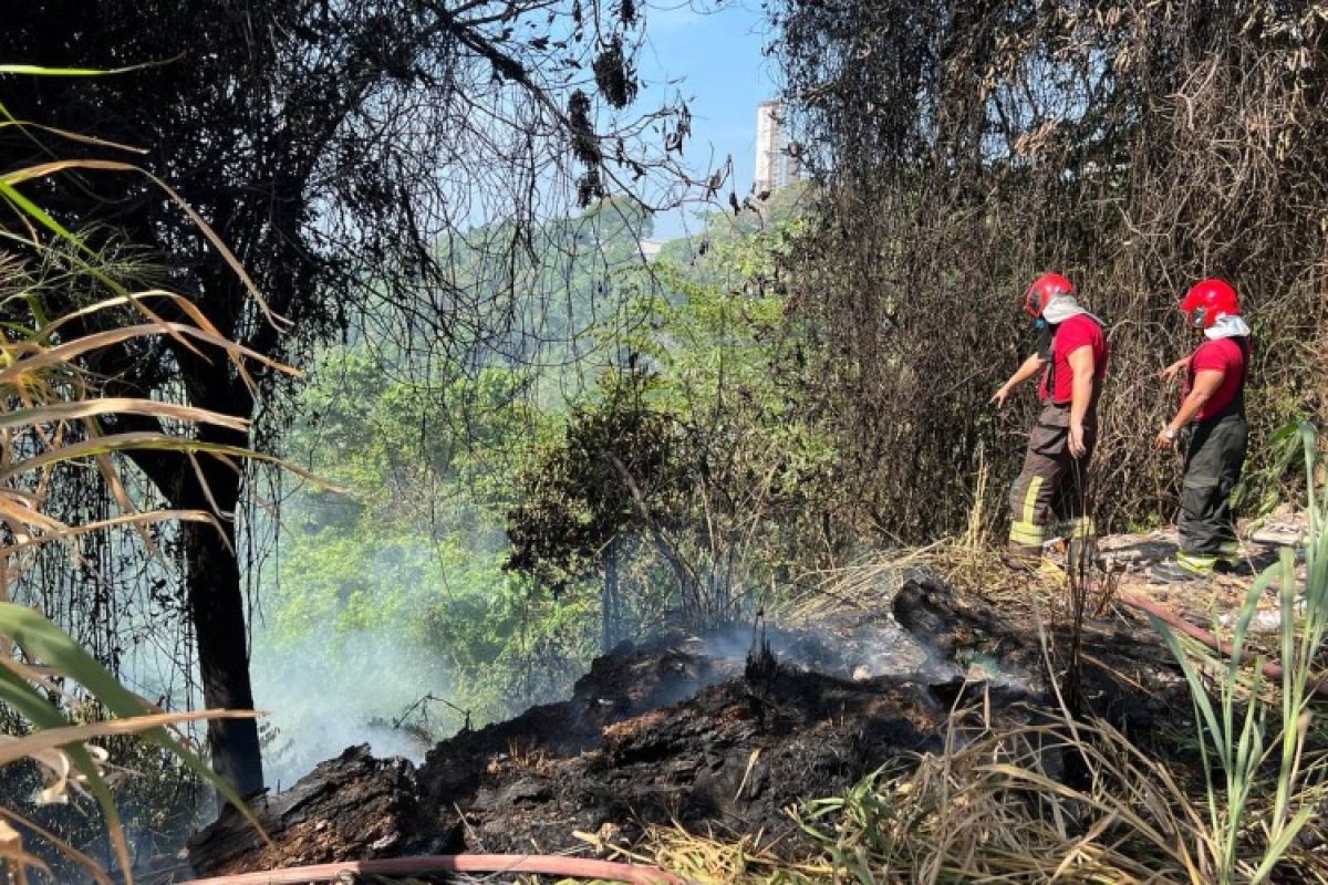 incendio-mauazinhoo